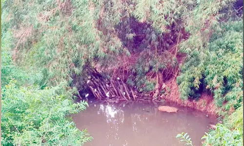 പുഴയോരം ഇടിഞ്ഞ് എസ്.കെ സ്മൃതി കേന്ദ്രവും മുളങ്കാടും തകർച്ച ഭീഷണിയിൽ