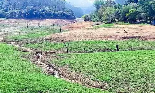 ചെങ്കുളം അണക്കെട്ടിൽ ബോട്ടിങ്ങിന്​ ഭീഷണിയായി മരക്കുറ്റികൾ