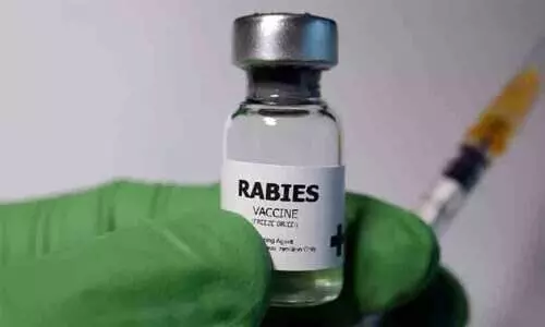 ഇടുക്കി ജില്ലയിൽ പേവിഷ വാക്സിന് ക്ഷാമം ഇടുക്കി ജില്ലയിൽ പേവിഷ വാക്സിന് ക്ഷാമം