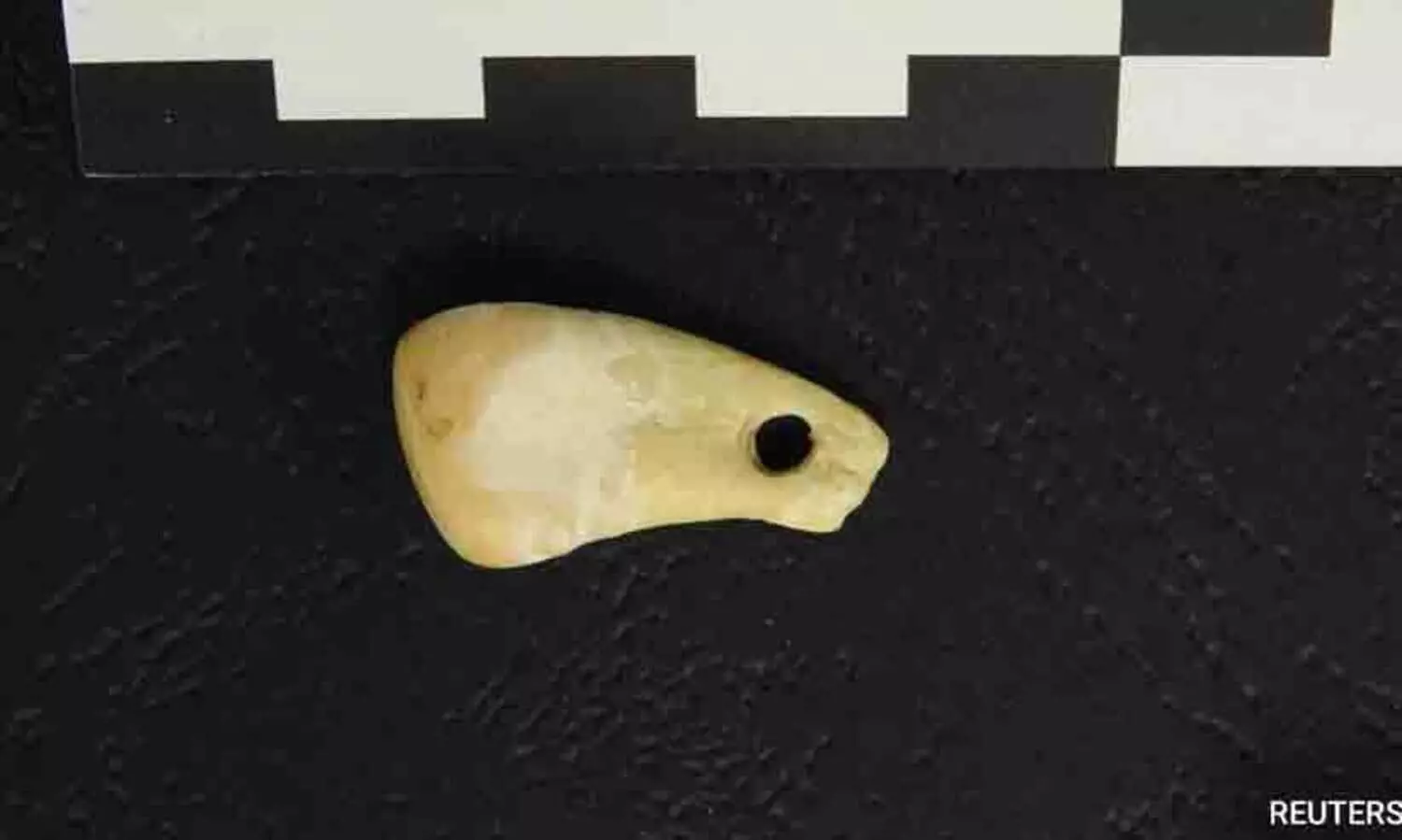 സൈബീരിയൻ ഗുഹയിൽ 20,000 വർഷം പഴക്കമുള്ള ലോക്കറ്റ്; അണിഞ്ഞതാരെന്ന് ഡി.എൻ.എ വഴി കണ്ടെത്തി DNA