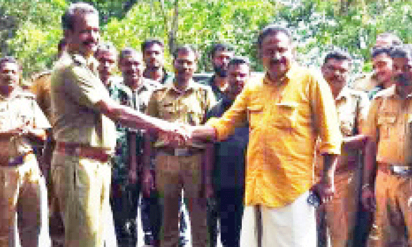 wild elepahnt wild elepahnt