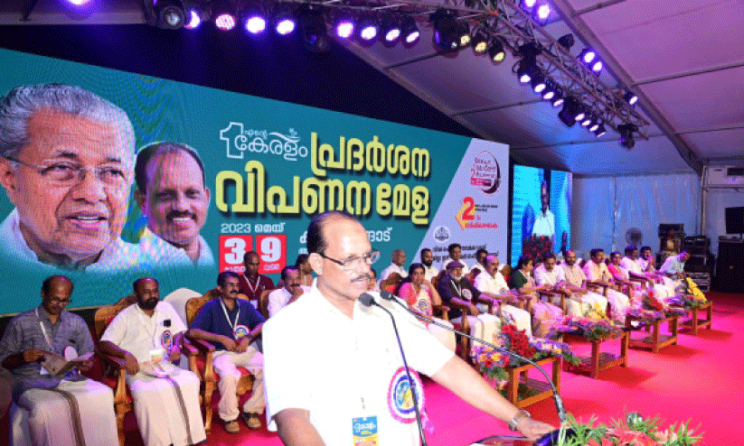 ldf government