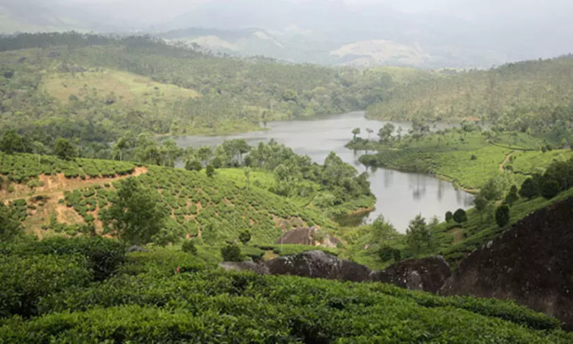 anayirankal anayirankal