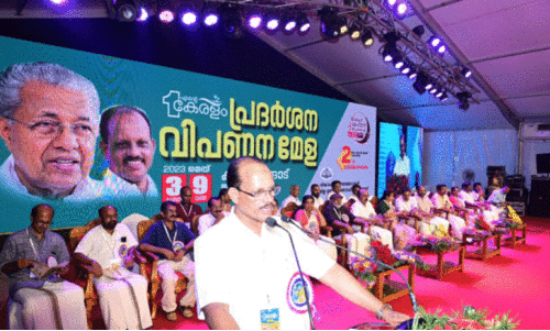 ldf government