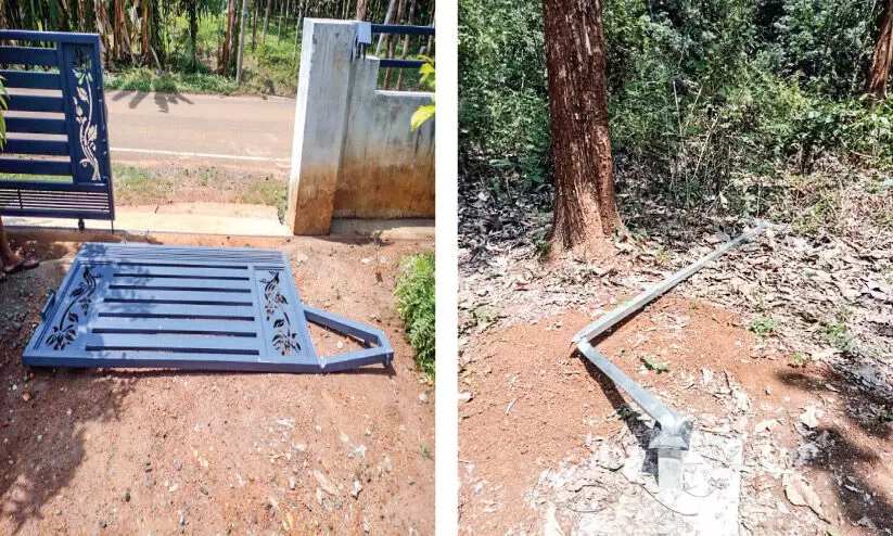 മൂത്തേടം ജനവാസ കേന്ദ്രത്തിൽ ഭീതി വിതച്ച് കാട്ടാന മൂത്തേടം ജനവാസ കേന്ദ്രത്തിൽ ഭീതി വിതച്ച് കാട്ടാന