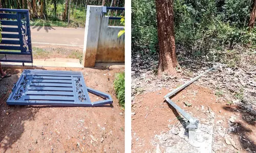 മൂത്തേടം ജനവാസ കേന്ദ്രത്തിൽ ഭീതി വിതച്ച് കാട്ടാന