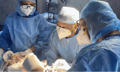 brain surgery on baby still in womb