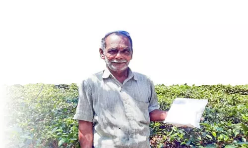 പായലേ വിട; എ​ന്നന്നേക്കും വിട