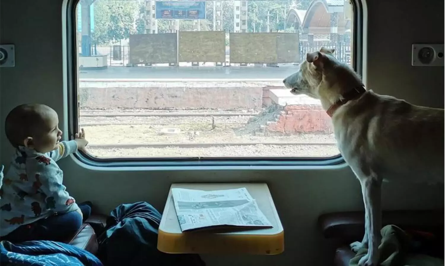 Everything you need to know before planning a train journey with your pet