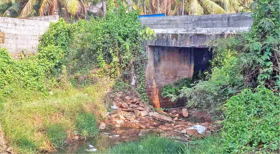 കാലപ്പഴക്കം; പാലങ്ങൾ പുതുക്കിപ്പണിയണമെന്ന് ആവശ്യം കാലപ്പഴക്കം; പാലങ്ങൾ പുതുക്കിപ്പണിയണമെന്ന് ആവശ്യം