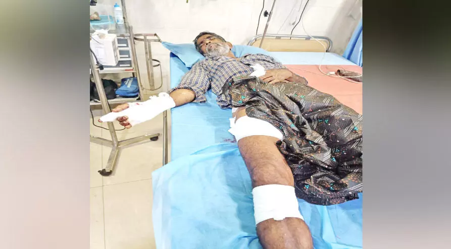 കൃഷിയിടത്തിൽ കാട്ടുപന്നിയുടെ കുത്തേറ്റ് വയോധികന് ഗുരുതരപരിക്ക്