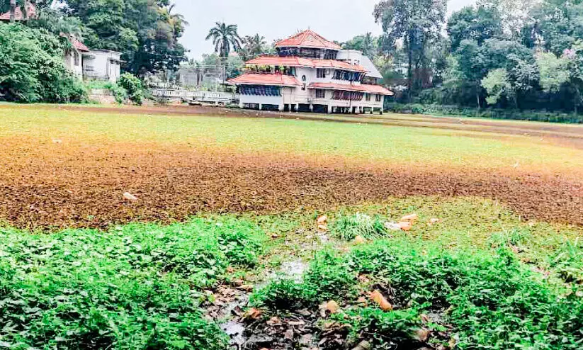 പ്രഖ്യാപനങ്ങൾക്ക്​ കാൽനൂറ്റാണ്ട്​; പായൽമൂടി പുതിയകാവിൽ ചിറ വിനോദസഞ്ചാര പദ്ധതി