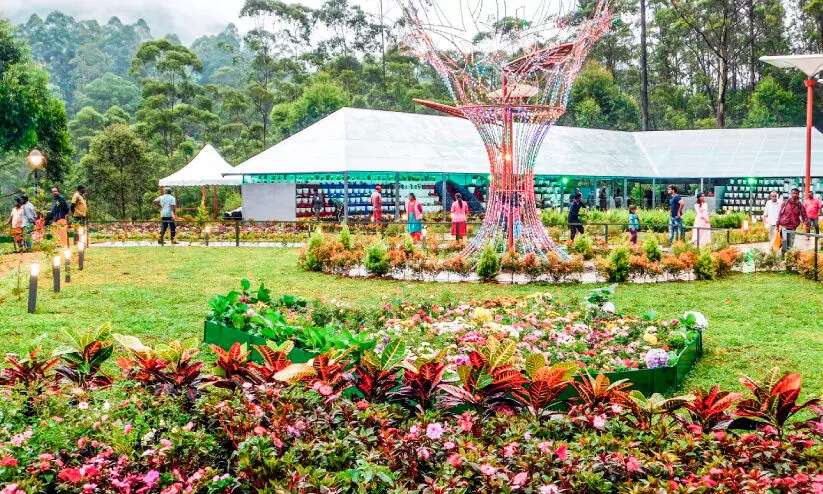 മൂന്നാർ പുഷ്പമേളയിലേക്ക് സന്ദർശക പ്രവാഹം മൂന്നാർ പുഷ്പമേളയിലേക്ക് സന്ദർശക പ്രവാഹം