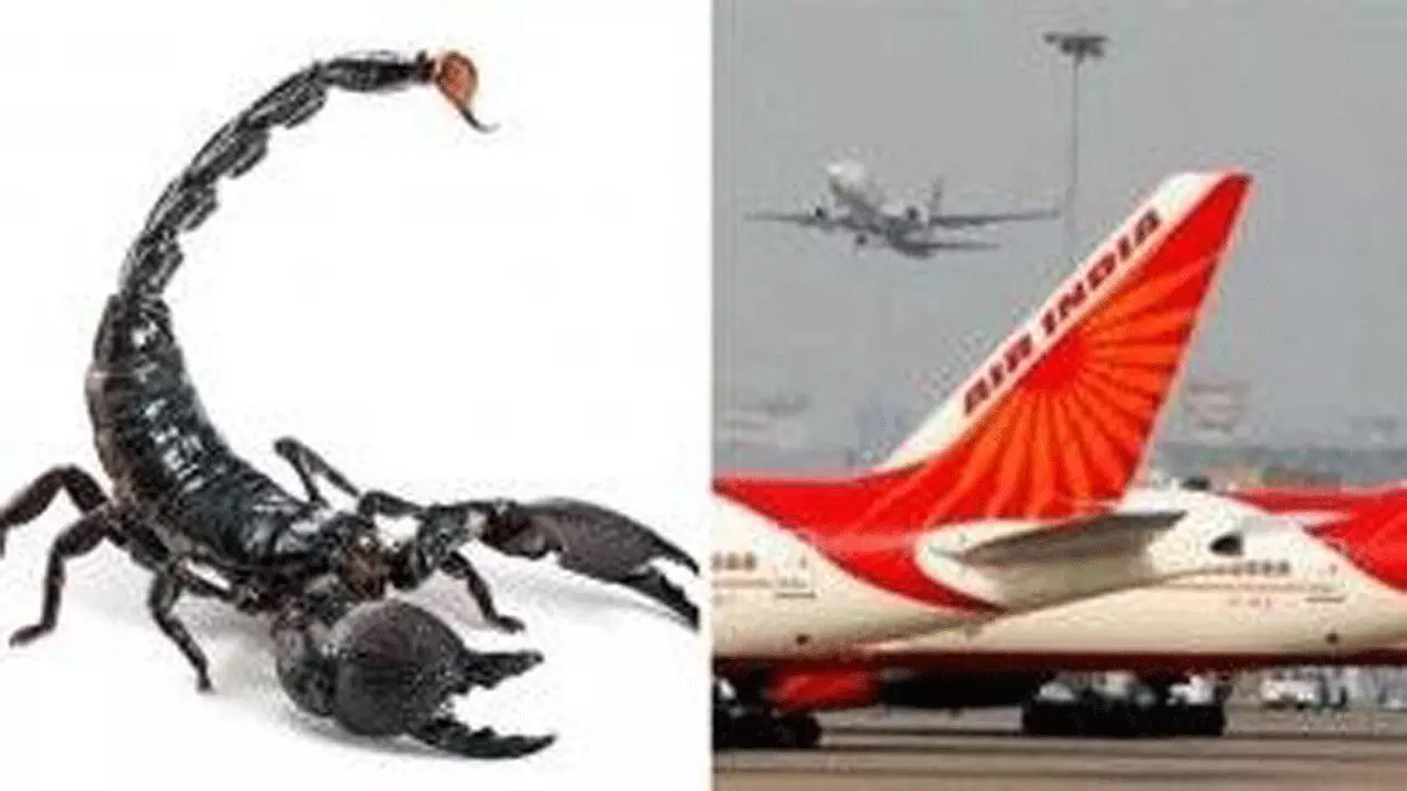 Air India Scorpion