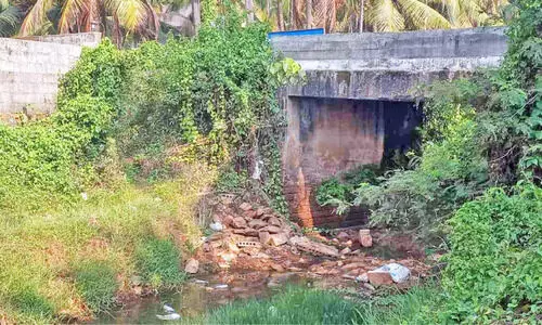 കാലപ്പഴക്കം; പാലങ്ങൾ പുതുക്കിപ്പണിയണമെന്ന് ആവശ്യം