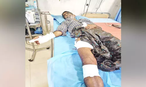 കൃഷിയിടത്തിൽ കാട്ടുപന്നിയുടെ കുത്തേറ്റ് വയോധികന് ഗുരുതരപരിക്ക്