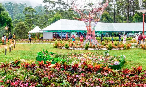 മൂന്നാർ പുഷ്പമേളയിലേക്ക് സന്ദർശക പ്രവാഹം