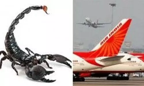 Air India Scorpion