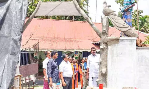 തൃക്കളത്തൂർ സ്കൂളിൽ പാർക്കും കവാടവും ഒരുങ്ങുന്നു