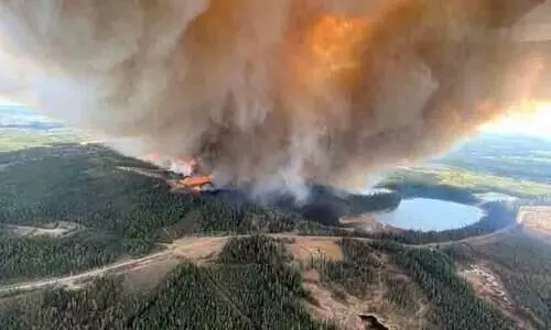 കാട്ടുതീ: കാനഡയിലെ ആൽബെർട്ടയിൽ അടിയന്തരാവസ്ഥ