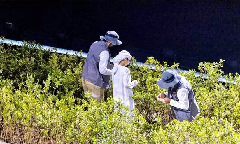 ‘നാളേക്ക് വേണ്ടി ഇന്ന്’; 10,000 കണ്ടൽ തൈകൾ നടുന്നു ‘നാളേക്ക് വേണ്ടി ഇന്ന്’; 10,000 കണ്ടൽ തൈകൾ നടുന്നു