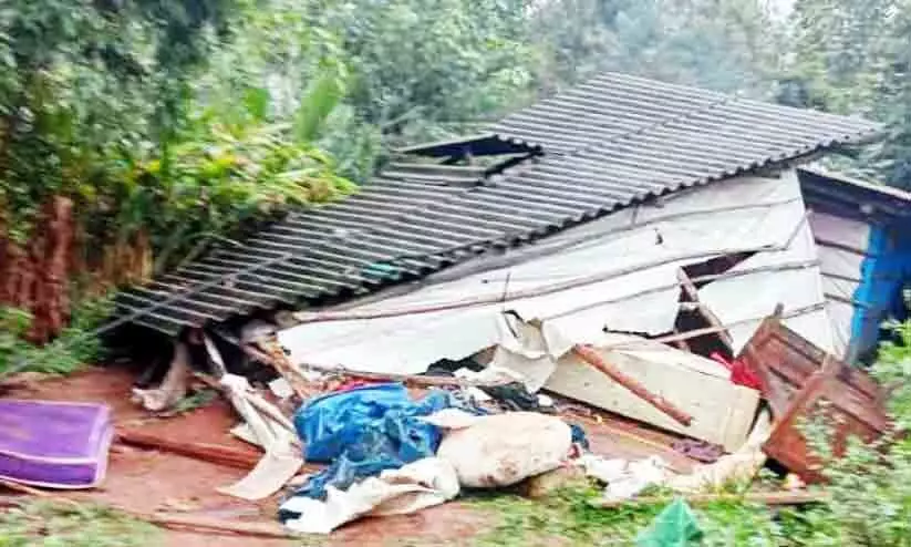 അരിക്കൊമ്പൻ പോയിട്ടും കാട്ടാനഭീഷണി തുടരുന്നു; ചിന്നക്കനാലിൽ വീട് തകർത്തു