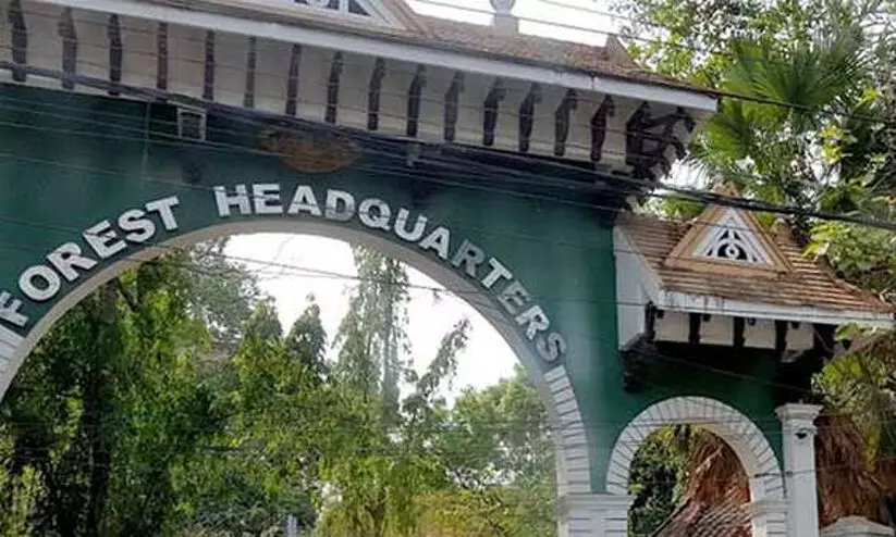 പി.പി.മത്തായിയുടെ മരണം: വനംവകുപ്പ് ഉദ്യോഗസ്ഥനെതിരെ ഔപചാരിക അന്വേഷണത്തിന് ഉത്തരവ് പി.പി.മത്തായിയുടെ മരണം: വനംവകുപ്പ് ഉദ്യോഗസ്ഥനെതിരെ ഔപചാരിക അന്വേഷണത്തിന് ഉത്തരവ്