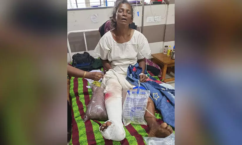 neyyatinkara 8977856