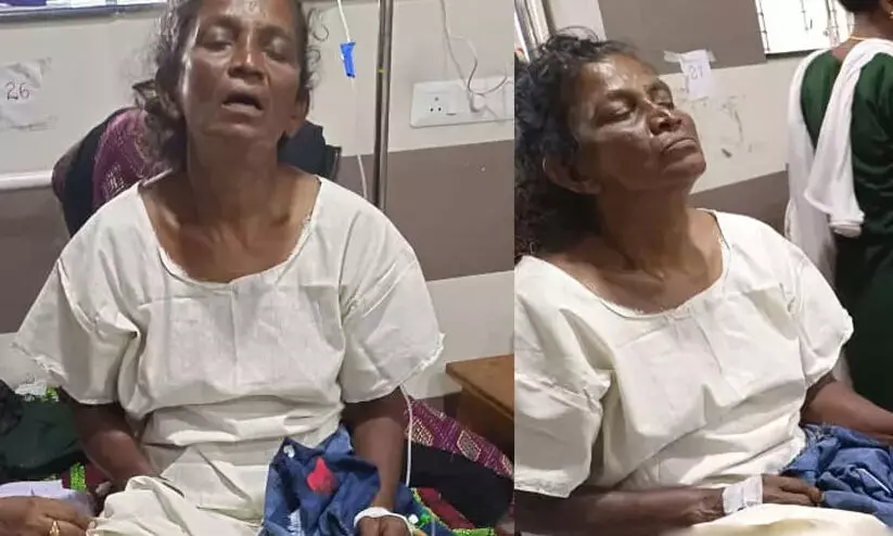 ബാലരാമപുരത്ത് 63 കാരിയുടെ കാല് കമ്പിപ്പാര ഉപയോഗിച്ച് തല്ലിയൊടിച്ചു ബാലരാമപുരത്ത് 63 കാരിയുടെ കാല് കമ്പിപ്പാര ഉപയോഗിച്ച് തല്ലിയൊടിച്ചു