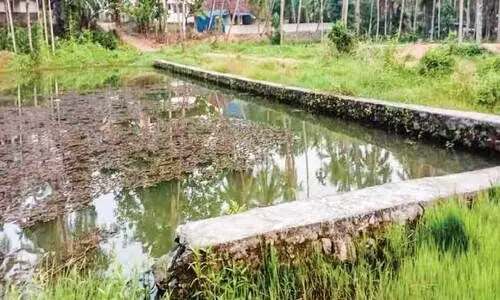 കണക്കമ്പാടം കുളം വീണ്ടും നാശത്തിലേക്ക്