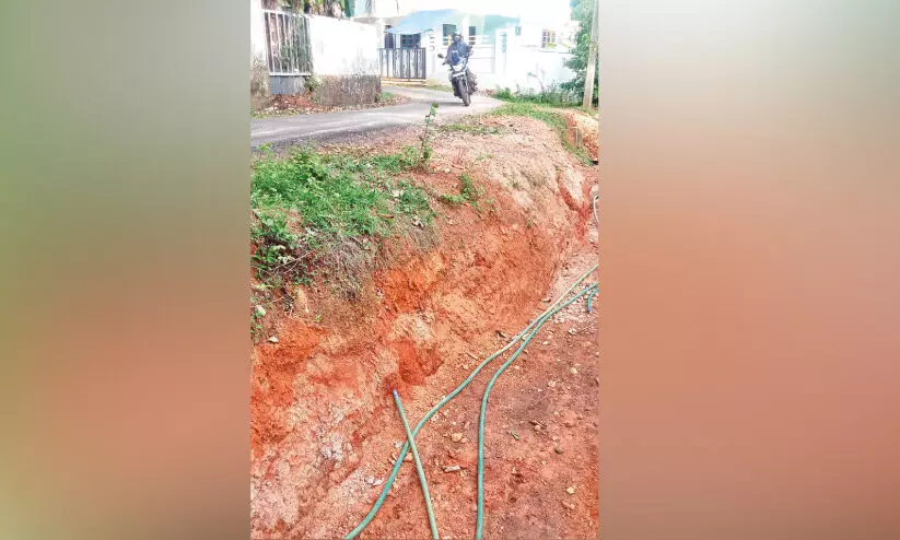 പൂപ്പത്തിയിൽ അപകടം പതിയിരിക്കുന്നു പൂപ്പത്തിയിൽ അപകടം പതിയിരിക്കുന്നു