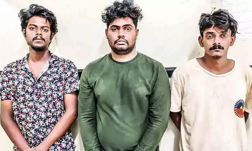 എം.ഡി.എം.എയും കഞ്ചാവുമായി മൂന്ന് യുവാക്കൾ പിടിയിൽ എം.ഡി.എം.എയും കഞ്ചാവുമായി മൂന്ന് യുവാക്കൾ പിടിയിൽ