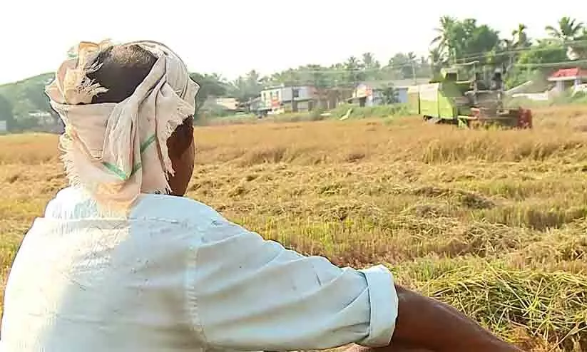 നെല്ലുവില: കിട്ടാനുള്ളത് 280 കോടി, കുട്ടനാട് കർഷകർ സമരത്തിലേക്ക്