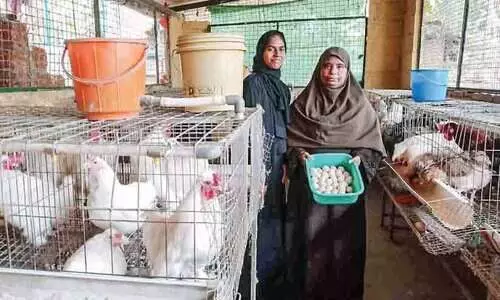 കുടുംബശ്രീയുടെ കരുതലില്‍ വിരിഞ്ഞു വളരുന്നു ജീവിത സ്വപ്‌നങ്ങള്‍