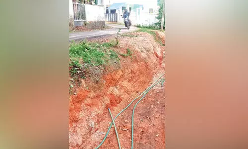 പൂ​പ്പ​ത്തി​യി​ൽ അ​പ​ക​ടം പ​തി​യി​രി​ക്കു​ന്നു