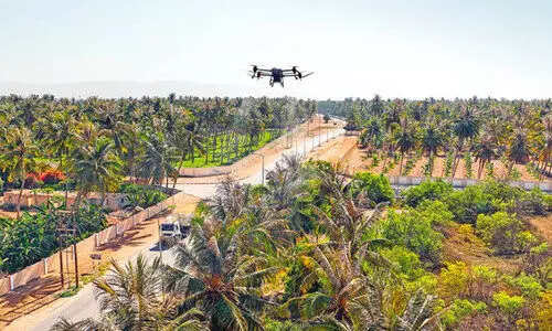 തെ​ങ്ങോ​ല​ക​ളി​ലെ വ​ണ്ടി​ന്റെ ആ​ക്ര​മ​ണം; ദോ​ഫാ​റി​ൽ ഡ്രോ​ൺ ഉ​പ​യോ​ഗി​ച്ച് മ​രു​ന്ന്​ ത​ളി​ക്കു​ന്ന പ​ദ്ധ​തി​ക്ക്​ തു​ട​ക്കം