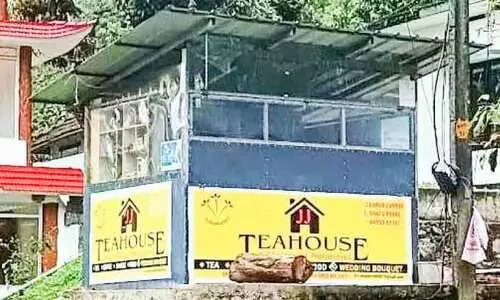 സൂര്യനെല്ലിയിൽ നിന്നൊരു വിജയഗാഥ