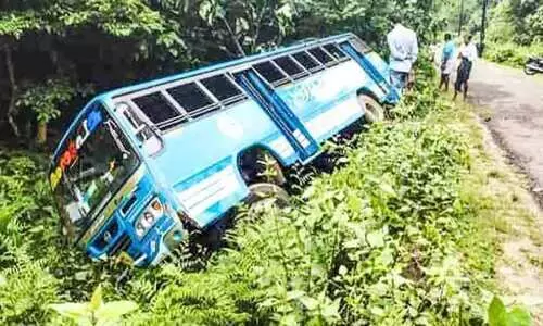 സീറ്റിനടിയിൽ സൂക്ഷിച്ച വസ്തു ബ്രേക്ക് പെഡലിനടിയിൽ കുടുങ്ങി; നിയന്ത്രണംവിട്ട ബസ് മറിഞ്ഞു