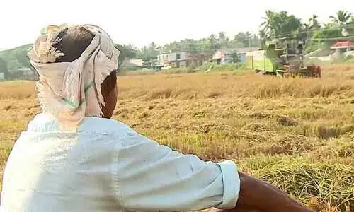 നെല്ലുവില: കിട്ടാനുള്ളത് 280 കോടി, കുട്ടനാട് കർഷകർ സമരത്തിലേക്ക്