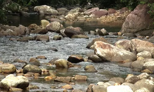 വിനോദ സഞ്ചാരികള്‍ക്ക് സുരക്ഷ: കല്ലാറില്‍ വനം വകുപ്പിന്റെ ഇന്റഗ്രേറ്റഡ് ചെക്ക്‌പോസ്റ്റ് തുറന്നു