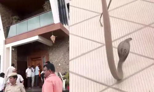 കർണാടകയിലെ ബി.ജെ.പി ക്യാമ്പിൽ മൂർഖൻ