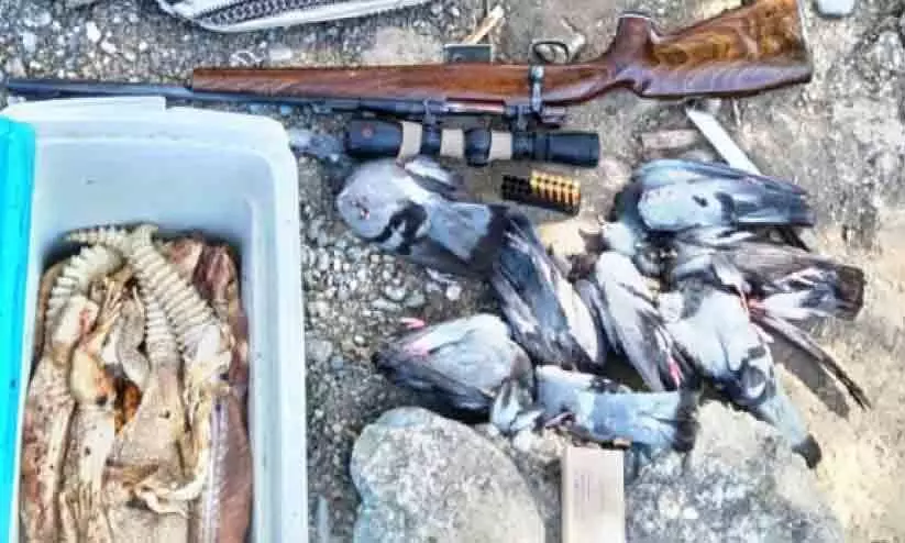 വേ​ട്ട​യാ​ട​ൽ: നി​ര​വ​ധി​പേ​ർ പി​ടി​യി​ൽ