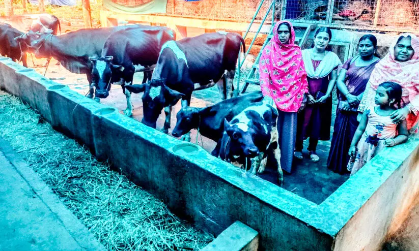 വിജയഗാഥയുമായി അൽ-അമീൻ ഫാം