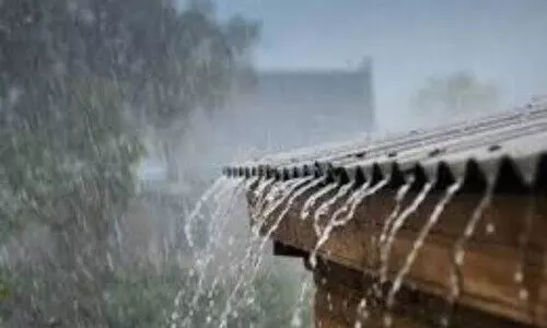 ആലപ്പുഴയിൽ മഴക്കാല മുന്നൊരുക്കം: ശുചീകരണത്തിന് തദ്ദേശ സ്ഥാപനങ്ങളിൽ കാമ്പയിൻ