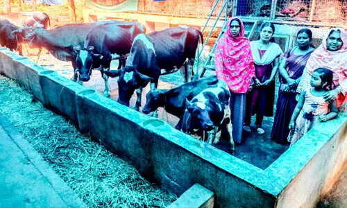 വിജയഗാഥയുമായി അൽ-അമീൻ ഫാം