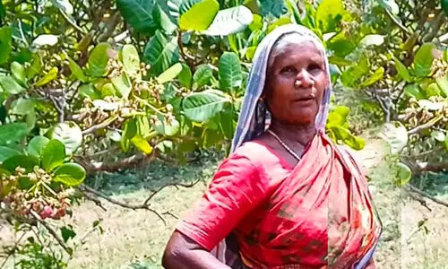 മുഖ്യമന്ത്രിക്ക് നൽകിയ പരാതിയിൽ അന്വേഷണം അട്ടിമറിച്ചുവെന്ന് അട്ടപ്പാടിയിലെ ആദിവാസി കുടുംബം