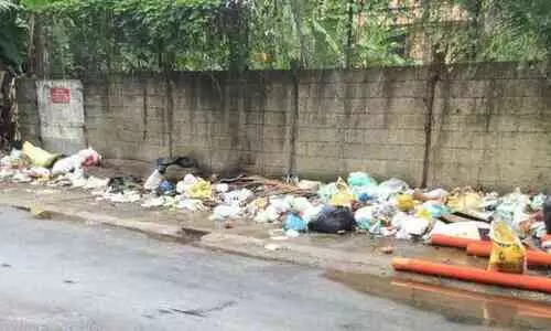 മാലിന്യം തള്ളൽ: രാത്രികാല സ്ക്വാഡുമായി പത്തനംതിട്ട നഗരസഭ