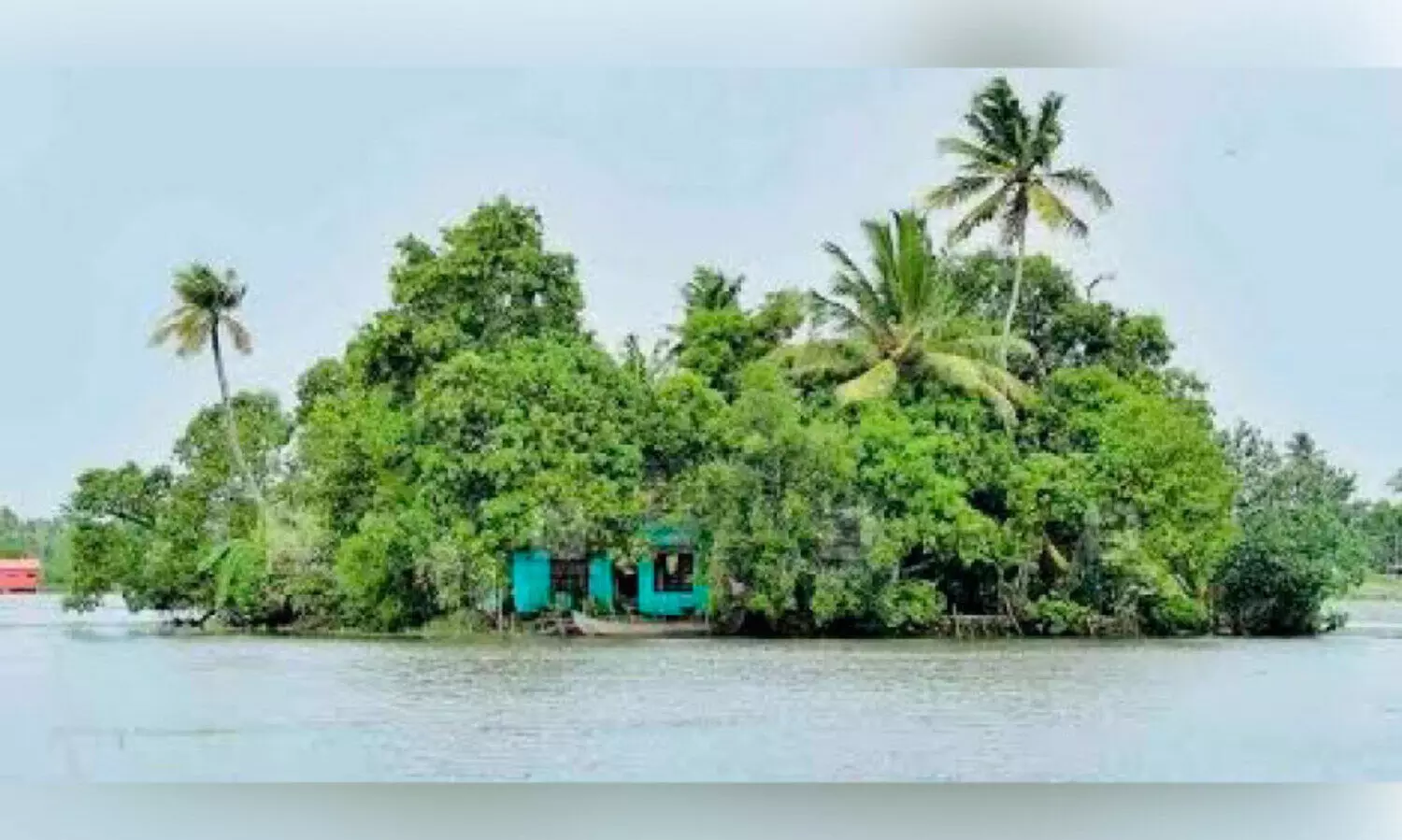 പ്രകൃതിയുടെ അഴക് നിറയുന്ന കാഴ്ചയായി അരൂരിലെ കായൽതുരുത്തുകൾ