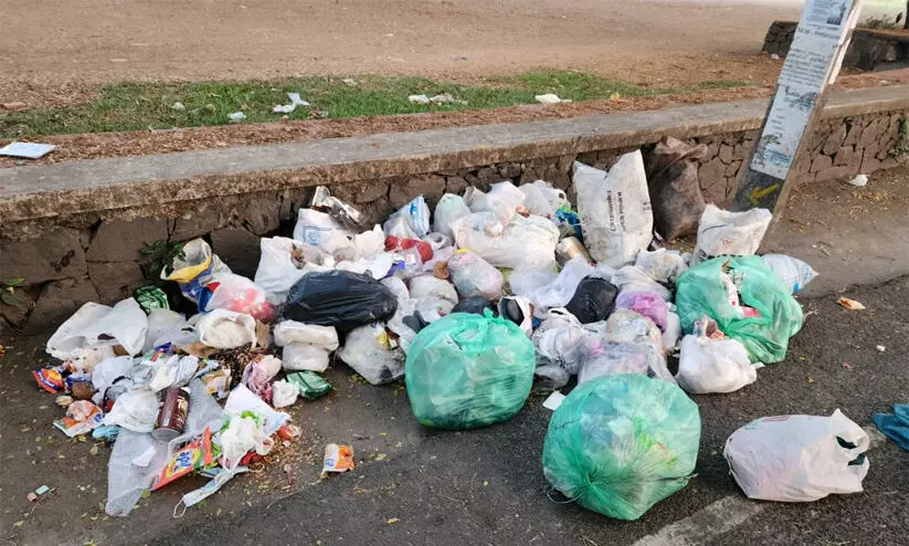 പൊതുസ്ഥലങ്ങളിൽ മാലിന്യം തള്ളി: കൊച്ചി നഗരപരിധിയിൽ ഈ വർഷം 864 കേസുകൾ പൊതുസ്ഥലങ്ങളിൽ മാലിന്യം തള്ളി: കൊച്ചി നഗരപരിധിയിൽ ഈ വർഷം 864 കേസുകൾ