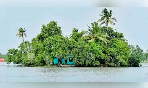 പ്രകൃതിയുടെ അഴക് നിറയുന്ന കാഴ്ചയായി അരൂരിലെ കായൽതുരുത്തുകൾ